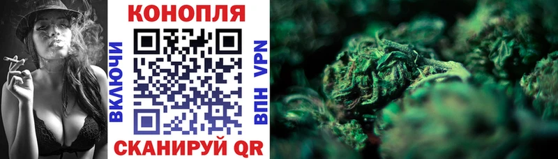 Где найти наркотики Дмитриев ГАШИШ Каннабис Галлюциногенные грибы Мефедрон A PVP