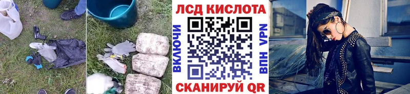 blacksprut ссылки  Дмитриев  Лсд 25 экстази ecstasy 