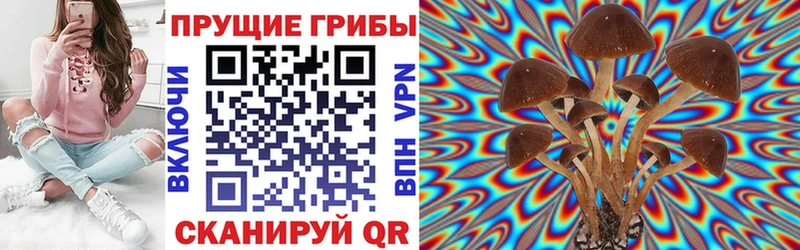 Галлюциногенные грибы прущие грибы  mega сайт  Дмитриев 