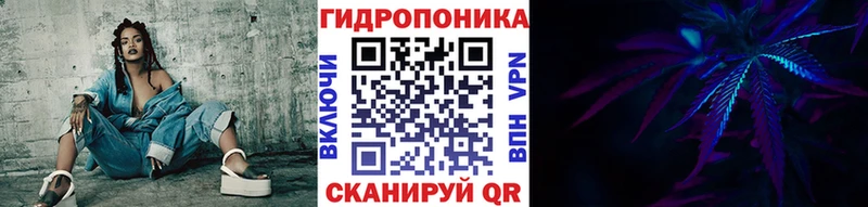 Канабис семена  Дмитриев 